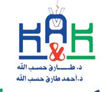شركة كى ايه اند كى 