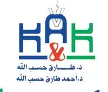شركة كى ايه اند كى 
